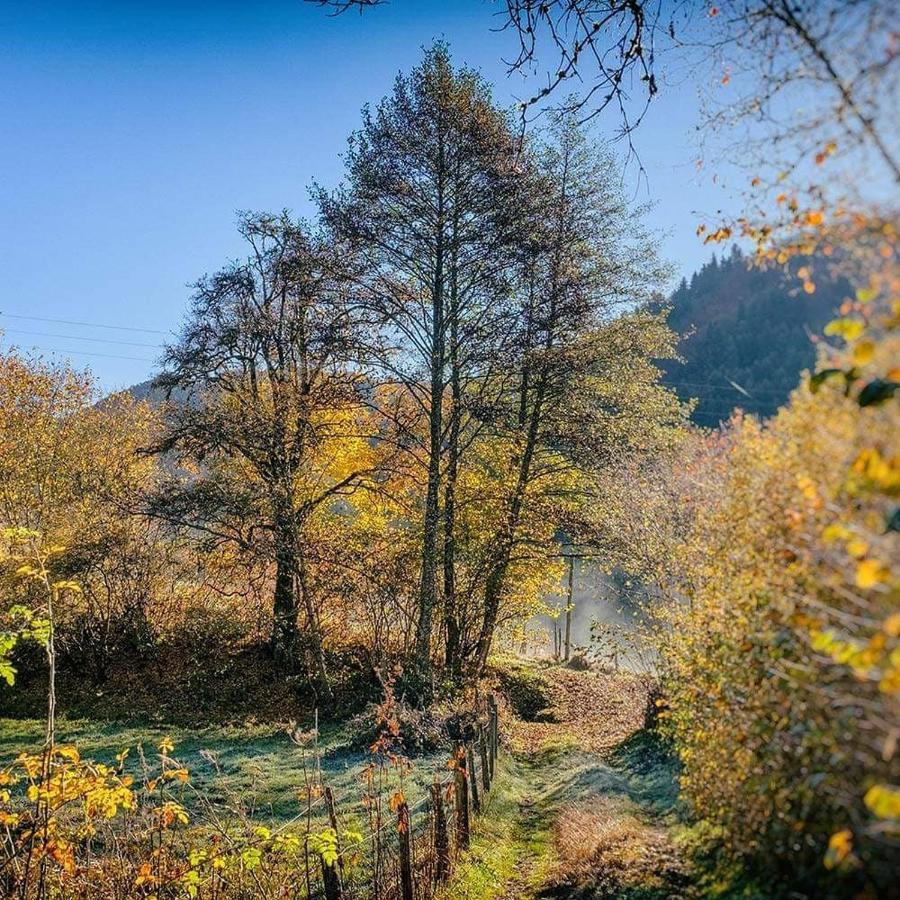 Bed and Breakfast Moulin Des Borderies Singles Exterior foto